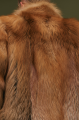 Stylish red fox fur coat
