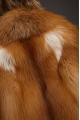 Stylish red fox fur coat
